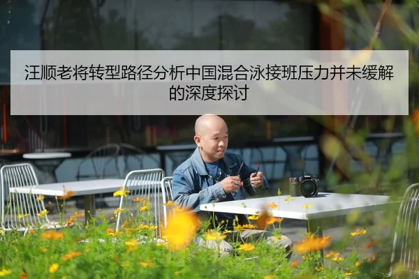 wang-shun-lao-jiang-zhuan-xing-lu-jing-fen-xi-zhong-guo-hun-he-yong-jie-ban-ya-li-bing-wei-huan-jie-de-shen-du-tan-tao-2-850.jpg