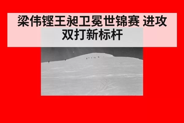梁伟铿王昶卫冕世锦赛 进攻双打新标杆